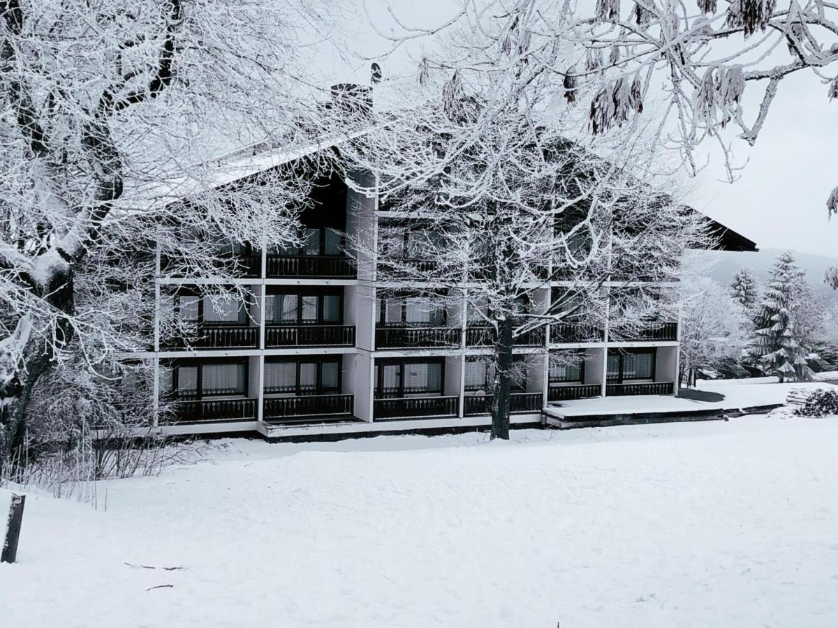 Winterwohnung Almberg Mitterfirmiansreut Exterior foto